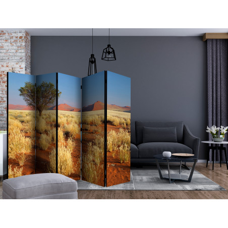 Paravan Desert Landscape, Namibia Ii [Room Dividers] 225 cm x 172 cm-01