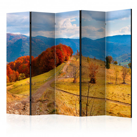 Paravan Autumn Landscape In The Carpathian Mountains Ii [Room Dividers] 225 cm x 172 cm
