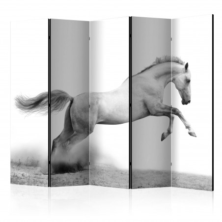 Paravan White Gallop Ii [Room Dividers] 225 cm x 172 cm-01