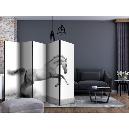 Paravan White Gallop Ii [Room Dividers] 225 cm x 172 cm-01