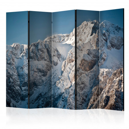 Paravan Winter In The Alps Ii [Room Dividers] 225 cm x 172 cm-01