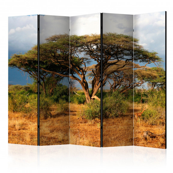 Paravan Samburu National Reserve, Kenya Ii [Room Dividers] 225 cm x 172 cm