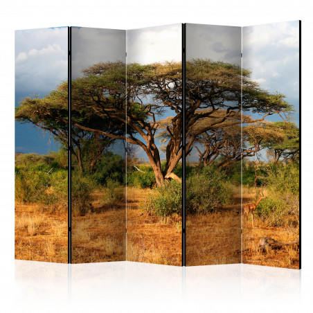 Paravan Samburu National Reserve, Kenya Ii [Room Dividers] 225 cm x 172 cm-01
