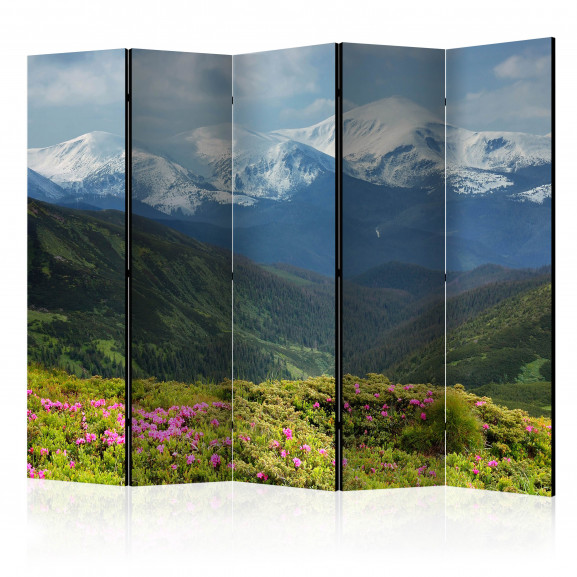 Paravan Spring Mountain Landscape Ii [Room Dividers] 225 cm x 172 cm