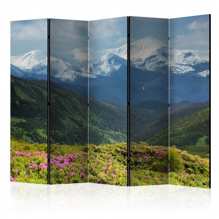 Paravan Spring Mountain Landscape Ii [Room Dividers] 225 cm x 172 cm-01