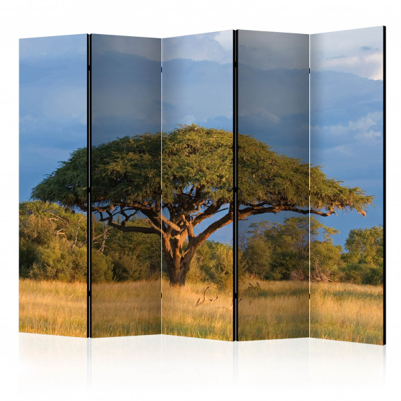 Paravan African Acacia Tree, Hwange National Park, Zimbabwe Ii [Room Dividers] 225 cm x 172 cm