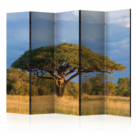 Paravan African Acacia Tree, Hwange National Park, Zimbabwe Ii [Room Dividers] 225 cm x 172 cm-01