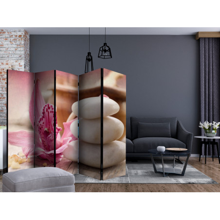 Paravan Zen And Spa Ii [Room Dividers] 225 cm x 172 cm-01