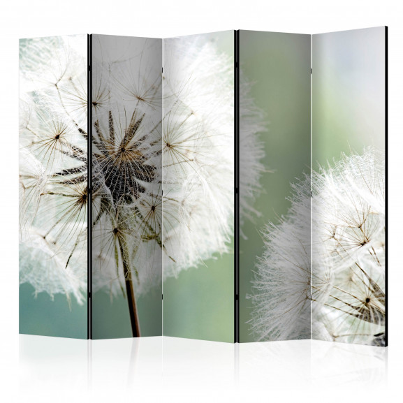 Paravan Two Dandelions Ii [Room Dividers] 225 cm x 172 cm