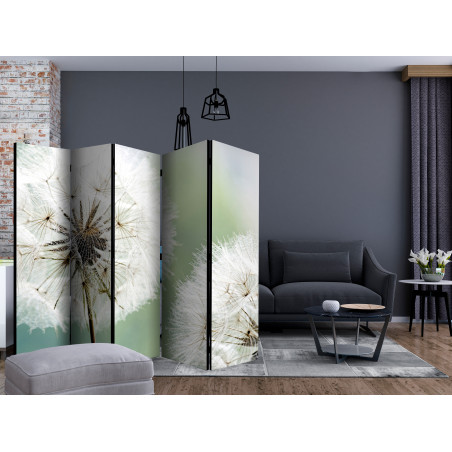 Paravan Two Dandelions Ii [Room Dividers] 225 cm x 172 cm-01