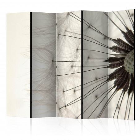 Paravan Dandelion Seed Head Ii [Room Dividers] 225 cm x 172 cm-01