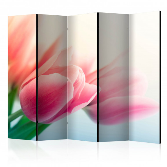Paravan Spring And Tulips Ii [Room Dividers] 225 cm x 172 cm