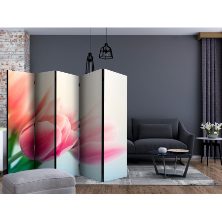 Paravan Spring And Tulips Ii [Room Dividers] 225 cm x 172 cm-01