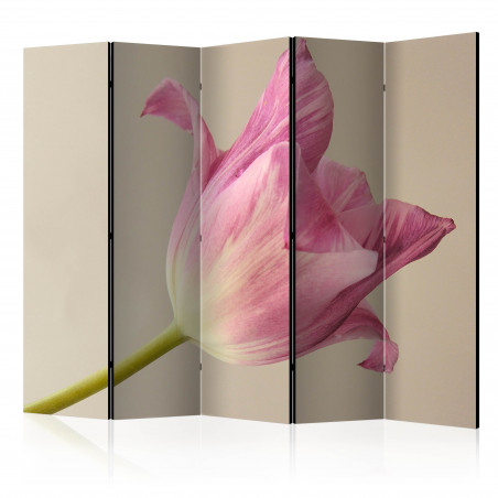 Paravan Pink Tulip Ii [Room Dividers] 225 cm x 172 cm-01
