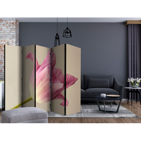 Paravan Pink Tulip Ii [Room Dividers] 225 cm x 172 cm-01