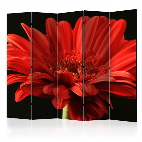 Paravan Red Gerbera Flower Ii [Room Dividers] 225 cm x 172 cm-01