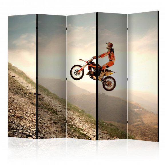 Paravan Motor Sport Ii [Room Dividers] 225 cm x 172 cm