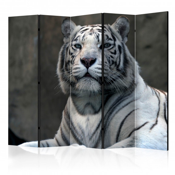 Paravan Bengali Tiger In Zoo Ii [Room Dividers] 225 cm x 172 cm 172