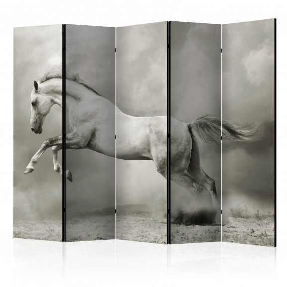 Paravan Wild Stallion Ii [Room Dividers] 225 cm x 172 cm