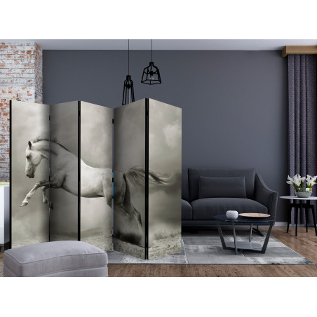 Paravan Wild Stallion Ii [Room Dividers] 225 cm x 172 cm-01