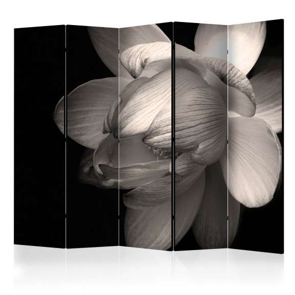 Paravan Lotus Flower Ii [Room Dividers] 225 cm x 172 cm