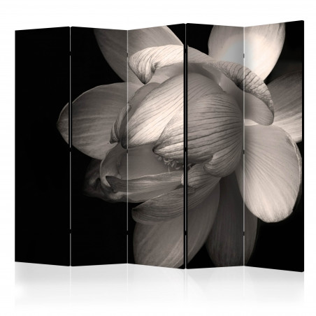 Paravan Lotus Flower Ii [Room Dividers] 225 cm x 172 cm-01