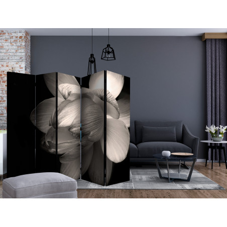 Paravan Lotus Flower Ii [Room Dividers] 225 cm x 172 cm-01