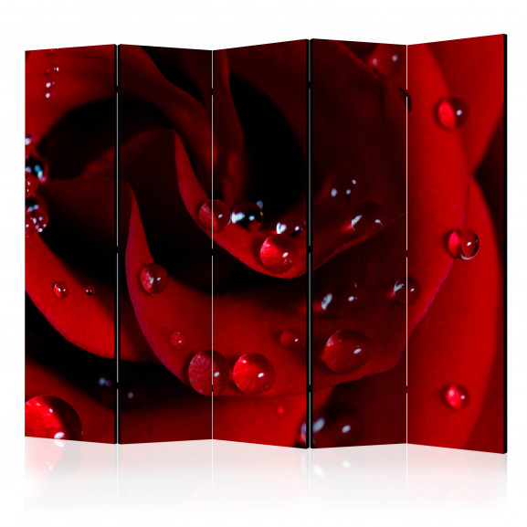 Paravan Red Rose With Water Drops Ii [Room Dividers] 225 cm x 172 cm