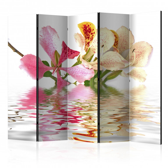 Paravan Tropical Flowers Orchid Tree (Bauhinia) Ii [Room Dividers] 225 cm x 172 cm