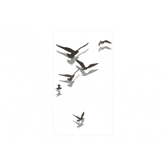 Fototapet free birds