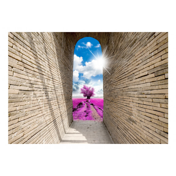 Fototapet magical passage