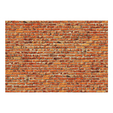 Fototapet Brick Wall-01