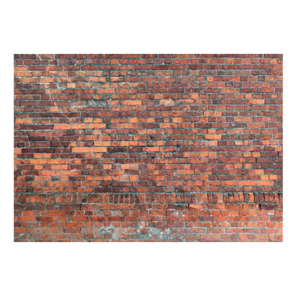 Fototapet Vintage Wall (Red Brick) Artgeist imagine antiquemob.ro
