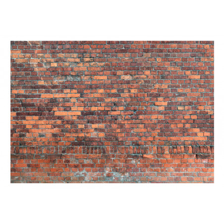Fototapet Vintage Wall (Red Brick)-01