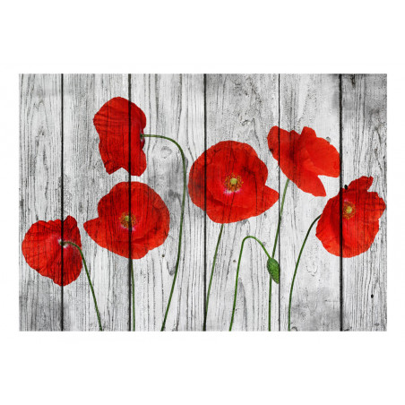 Fototapet Tale Of Red Poppies-01