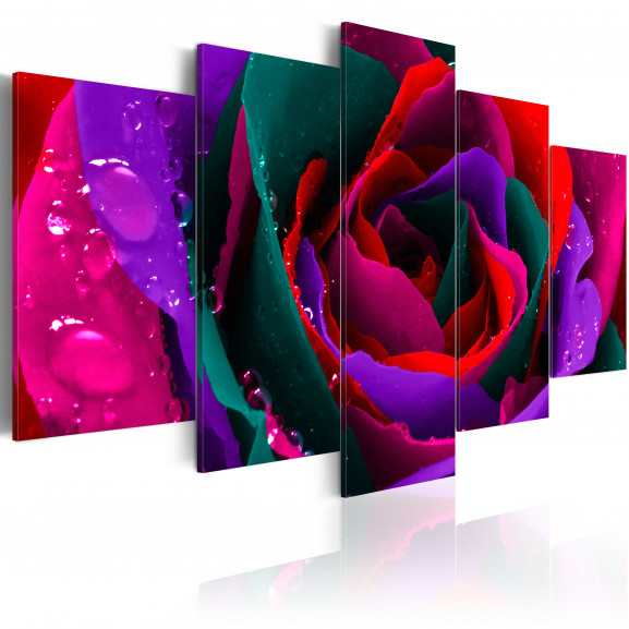 Tablou Multicoloured Rose