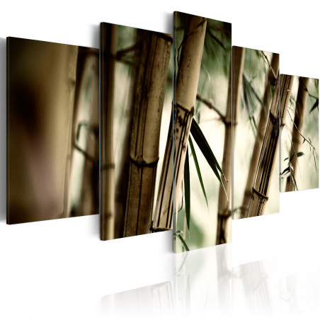 Tablou Asian Bamboo Forest-01