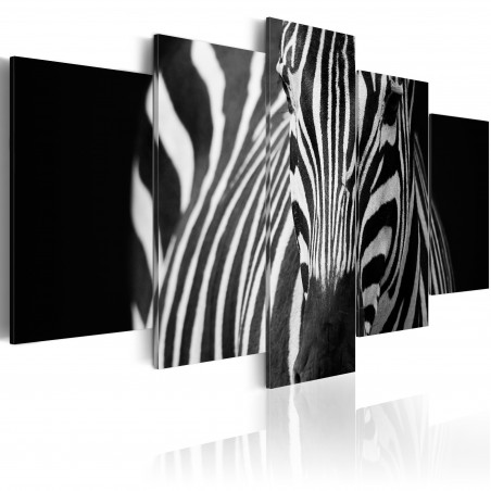 Tablou Zebra Look-01