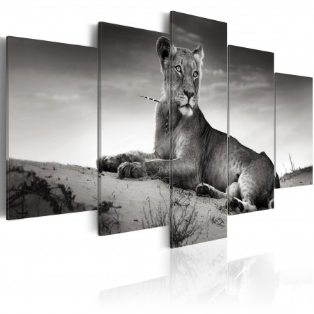 Tablou Lioness In A Desert-01