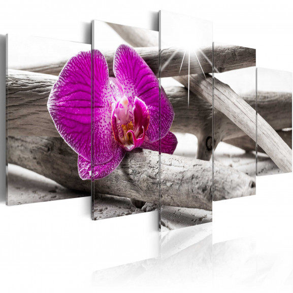 Tablou Orchid On Beach