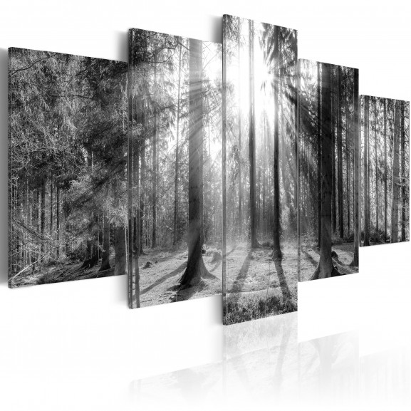 Tablou Forest Of Memories