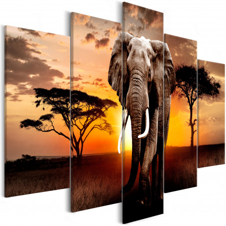 Tablou Wandering Elephant (5 Parts) Wide-01