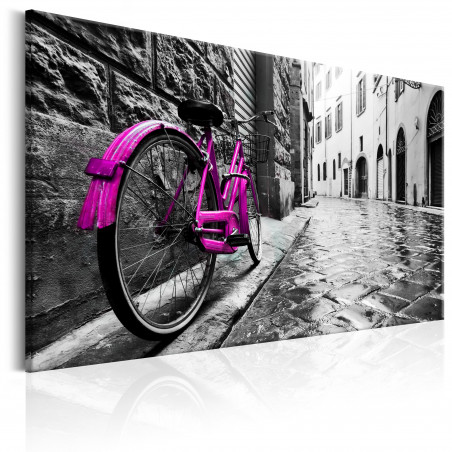 Tablou Vintage Pink Bike-01
