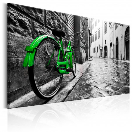 Tablou Vintage Green Bike-01
