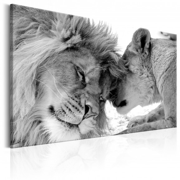 Tablou Lion'S Love