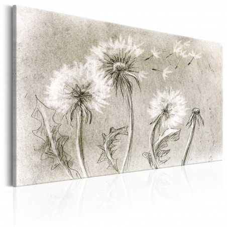 Tablou Dandelions (Pencil Artwork)-01