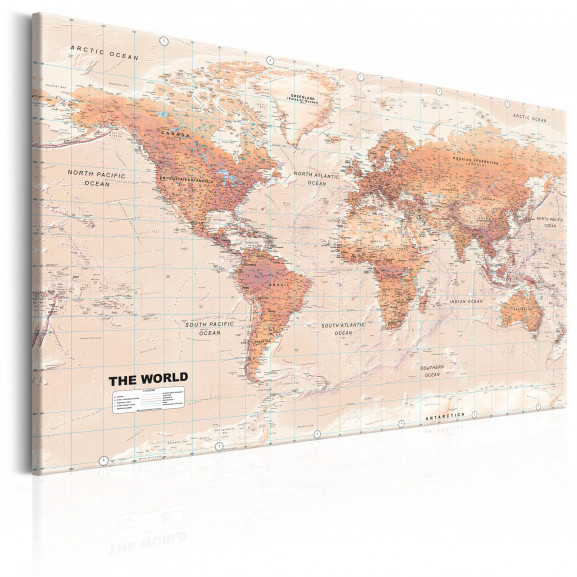 Tablou World Map: Orange World