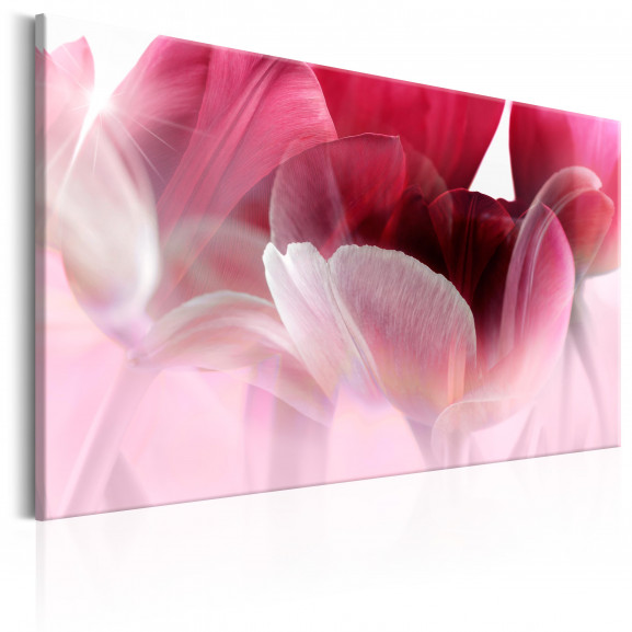 Tablou Nature: Pink Tulips