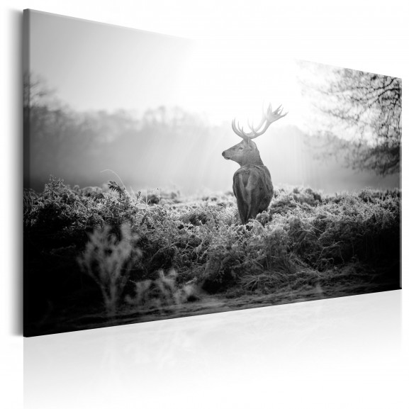 Tablou Black And White Deer