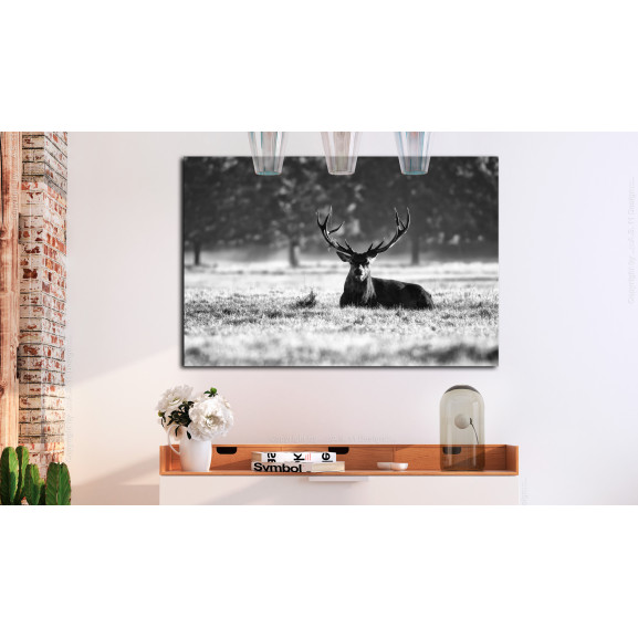 Tablou lying deer
